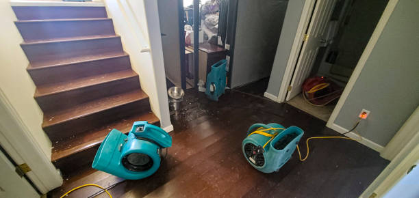 Best Water damage cleanup near me  in Vaville, CA