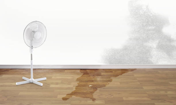 Best Carpet water damage restoration  in Vaville, CA