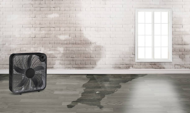 Best Water damage restoration experts  in Vaville, CA