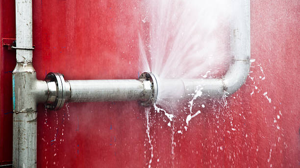 Best Mold removal after water damage  in Vaville, CA